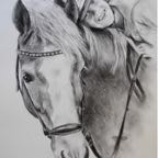 DSCN1716.JPG