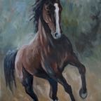 DSC08338 - versie 2.jpg